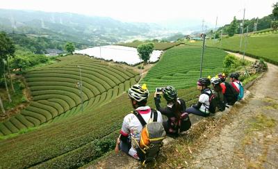 和束でお茶茶茶ライド｜旅ライド倶楽部・関西