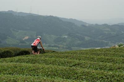 和束でお茶茶茶ライド｜旅ライド倶楽部・関西