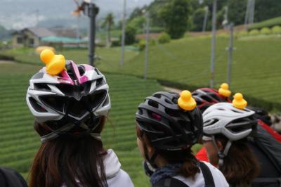 和束でお茶茶茶ライド｜旅ライド倶楽部・関西