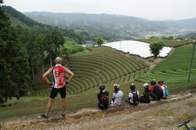和束でお茶茶茶ライド｜旅ライド倶楽部・関西