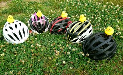 和束でお茶茶茶ライド｜旅ライド倶楽部・関西