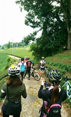 和束でお茶茶茶ライド｜旅ライド倶楽部・関西