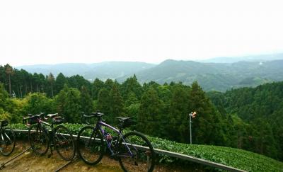 和束でお茶茶茶ライド｜旅ライド倶楽部・関西