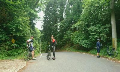 和束でお茶茶茶ライド｜旅ライド倶楽部・関西