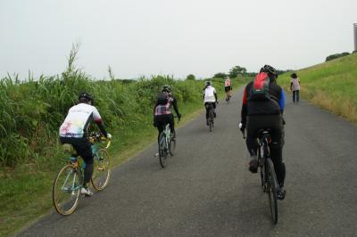 和束でお茶茶茶ライド｜旅ライド倶楽部・関西