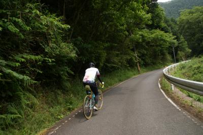和束でお茶茶茶ライド｜旅ライド倶楽部・関西