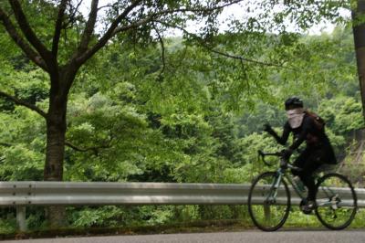 和束でお茶茶茶ライド｜旅ライド倶楽部・関西