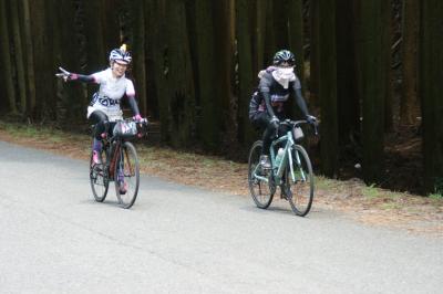 和束でお茶茶茶ライド｜旅ライド倶楽部・関西