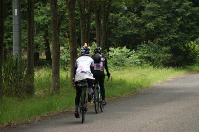 和束でお茶茶茶ライド｜旅ライド倶楽部・関西