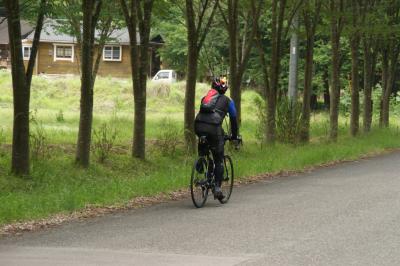 和束でお茶茶茶ライド｜旅ライド倶楽部・関西