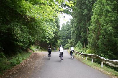 和束でお茶茶茶ライド｜旅ライド倶楽部・関西