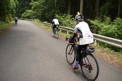 和束でお茶茶茶ライド｜旅ライド倶楽部・関西