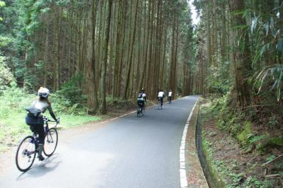 和束でお茶茶茶ライド｜旅ライド倶楽部・関西