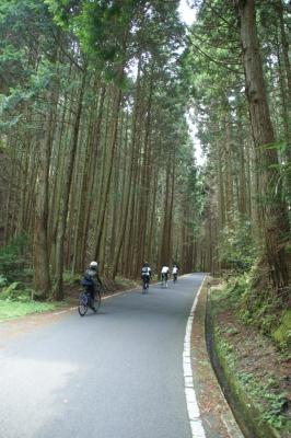 和束でお茶茶茶ライド｜旅ライド倶楽部・関西