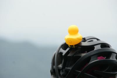 和束でお茶茶茶ライド｜旅ライド倶楽部・関西