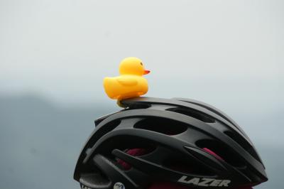 和束でお茶茶茶ライド｜旅ライド倶楽部・関西