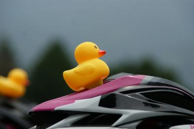 和束でお茶茶茶ライド｜旅ライド倶楽部・関西