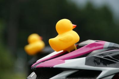 和束でお茶茶茶ライド｜旅ライド倶楽部・関西