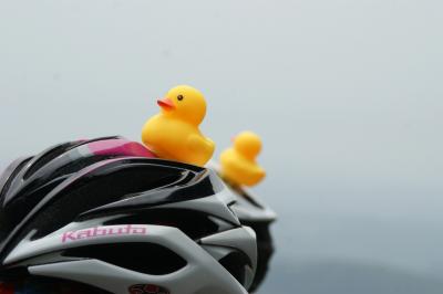 和束でお茶茶茶ライド｜旅ライド倶楽部・関西