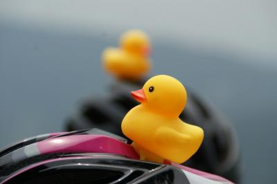 和束でお茶茶茶ライド｜旅ライド倶楽部・関西