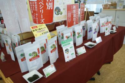 和束でお茶茶茶ライド｜旅ライド倶楽部・関西