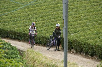 和束でお茶茶茶ライド｜旅ライド倶楽部・関西
