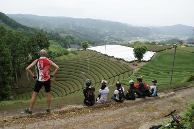 和束でお茶茶茶ライド｜旅ライド倶楽部・関西