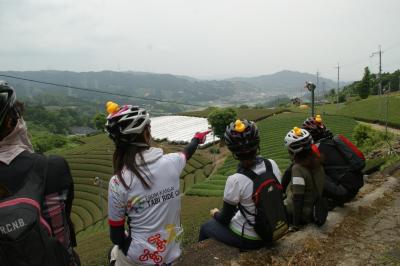 和束でお茶茶茶ライド｜旅ライド倶楽部・関西