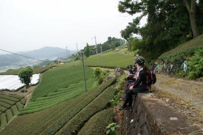 和束でお茶茶茶ライド｜旅ライド倶楽部・関西