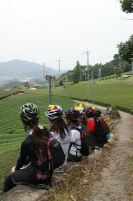 和束でお茶茶茶ライド｜旅ライド倶楽部・関西