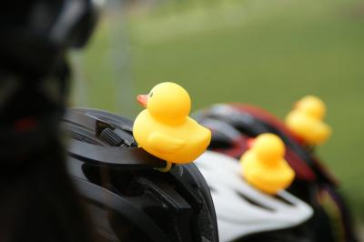 和束でお茶茶茶ライド｜旅ライド倶楽部・関西