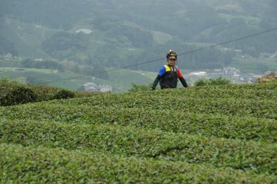 和束でお茶茶茶ライド｜旅ライド倶楽部・関西