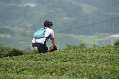 和束でお茶茶茶ライド｜旅ライド倶楽部・関西