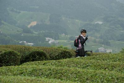 和束でお茶茶茶ライド｜旅ライド倶楽部・関西