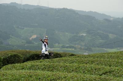和束でお茶茶茶ライド｜旅ライド倶楽部・関西