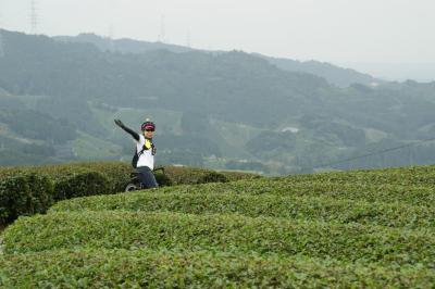 和束でお茶茶茶ライド｜旅ライド倶楽部・関西