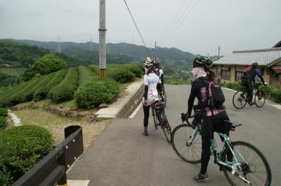 和束でお茶茶茶ライド｜旅ライド倶楽部・関西