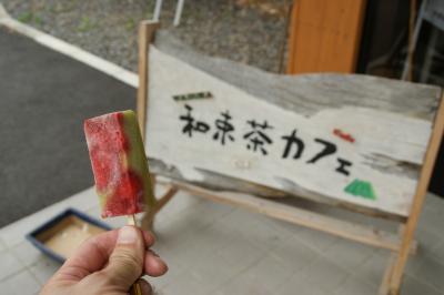 和束でお茶茶茶ライド｜旅ライド倶楽部・関西