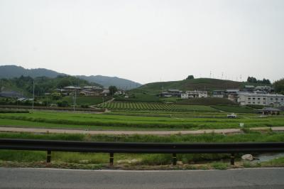 和束でお茶茶茶ライド｜旅ライド倶楽部・関西