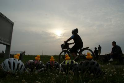 和束でお茶茶茶ライド｜旅ライド倶楽部・関西