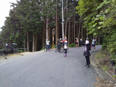 和束でお茶茶茶ライド｜旅ライド倶楽部・関西