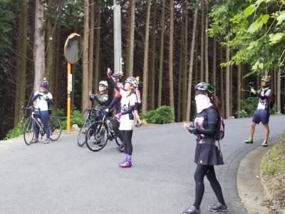 和束でお茶茶茶ライド｜旅ライド倶楽部・関西