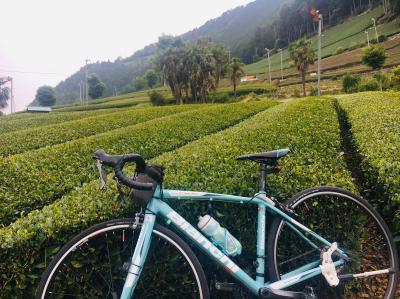 和束でお茶茶茶ライド｜旅ライド倶楽部・関西