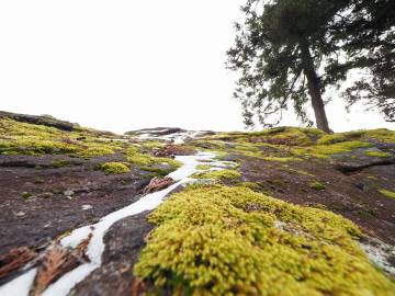 福島県二本松　鬼ババ伝説ライド｜旅ライド倶楽部・関西
