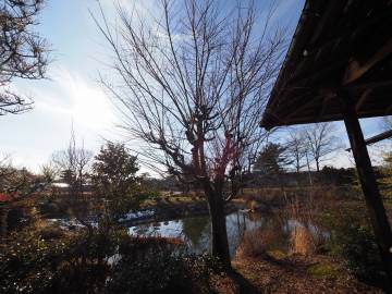 福島県二本松　鬼ババ伝説ライド｜旅ライド倶楽部・関西