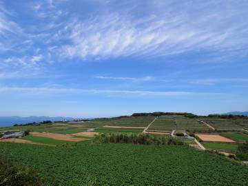雲仙島原・天草ライド／2日目｜旅ライド倶楽部・関西