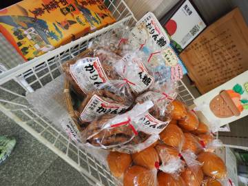 雲仙島原・天草ライド／2日目｜旅ライド倶楽部・関西