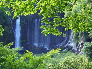 新緑の絶景 富士五湖ライド｜旅ライド倶楽部・関西