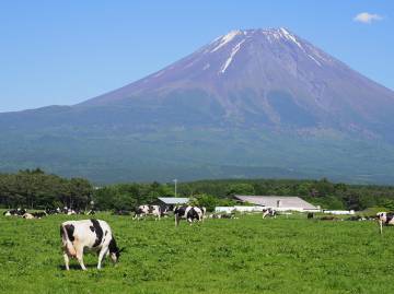 新緑の絶景 富士五湖ライド｜旅ライド倶楽部・関西