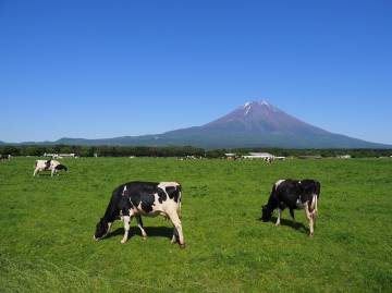 新緑の絶景 富士五湖ライド｜旅ライド倶楽部・関西